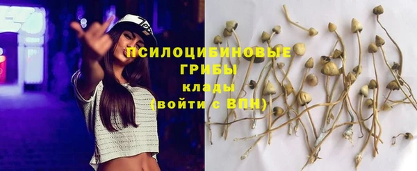 прущие крисы Богданович