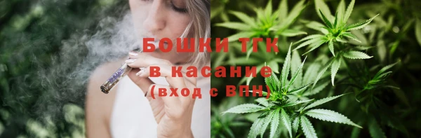 индика Богородск