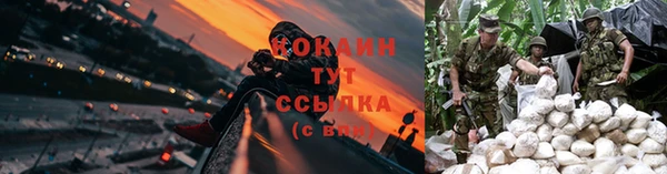 индика Богородск
