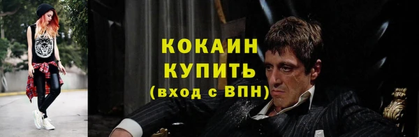 mix Бородино