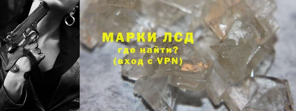 индика Богородск