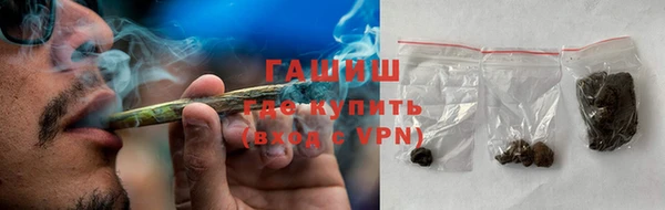 индика Богородск