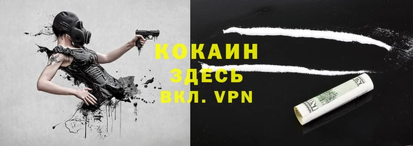 индика Богородск