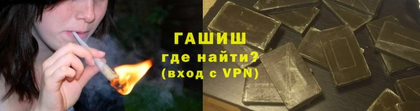 индика Богородск