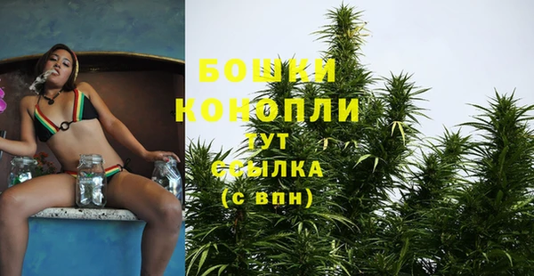 mix Бородино